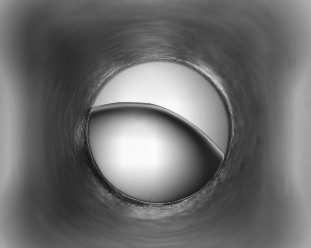 X0000087610009200704271109