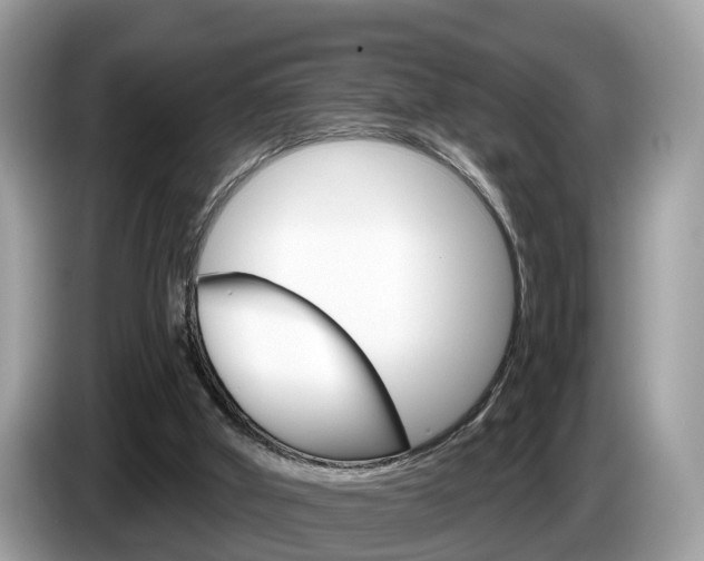 X0000087610010200704271109