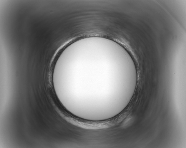 X0000087610012200704271109