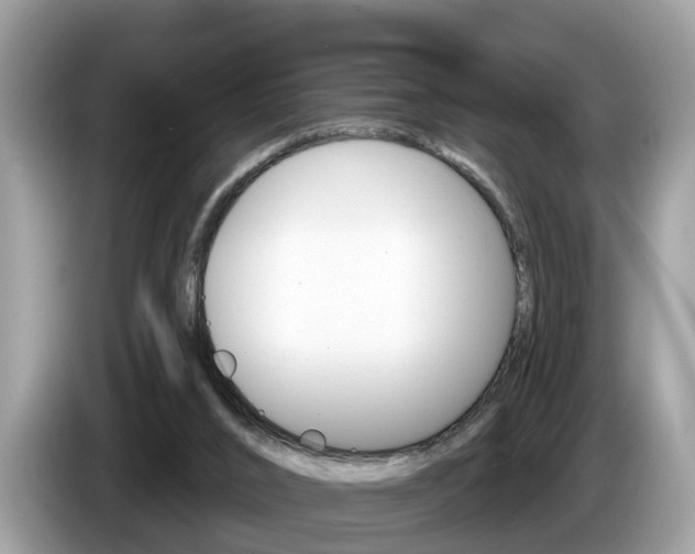 X0000087610016200704271109