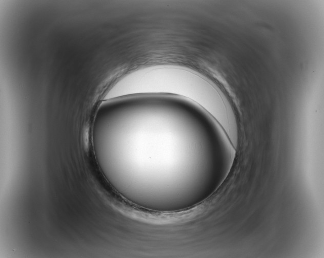 X0000087610019200704271109
