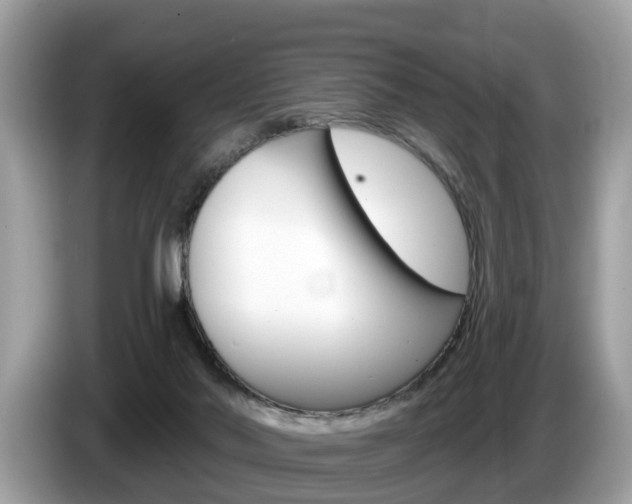 X0000087610022200704271109