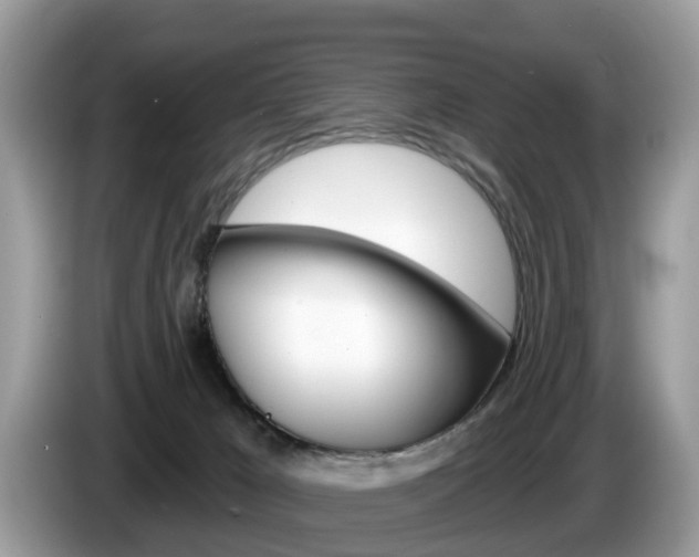 X0000087610029200704271109