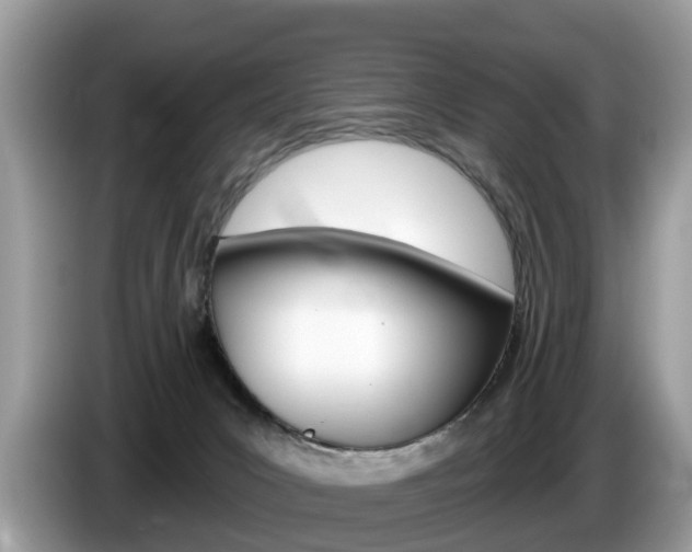 X0000087610031200704271109