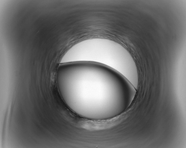 X0000087610033200704271109