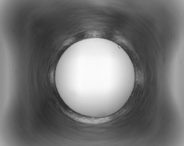 X0000087610036200704271108