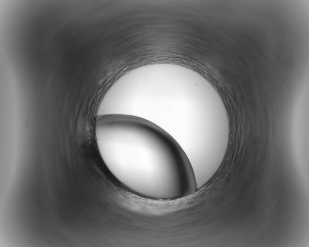 X0000087610039200704271108