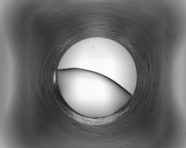 X0000087610046200704271108