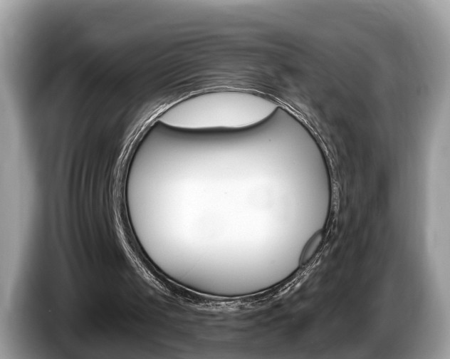 X0000087610049200704271108