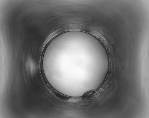 X0000087610051200704271108