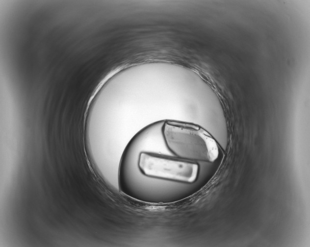 X0000087610052200704271108