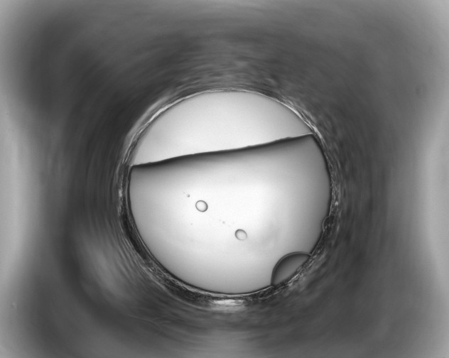 X0000087610053200704271108