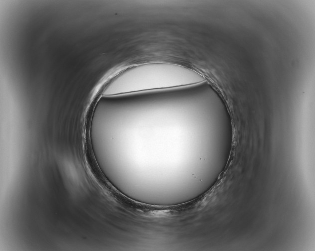 X0000087610054200704271108
