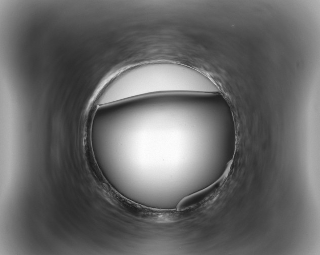 X0000087610056200704271108
