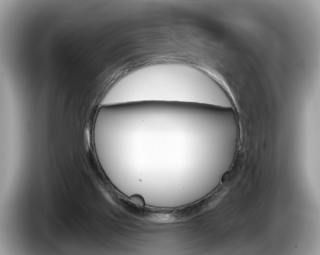 X0000087610061200704271108