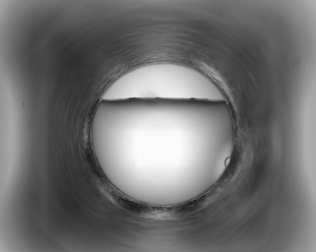 X0000087610065200704271108