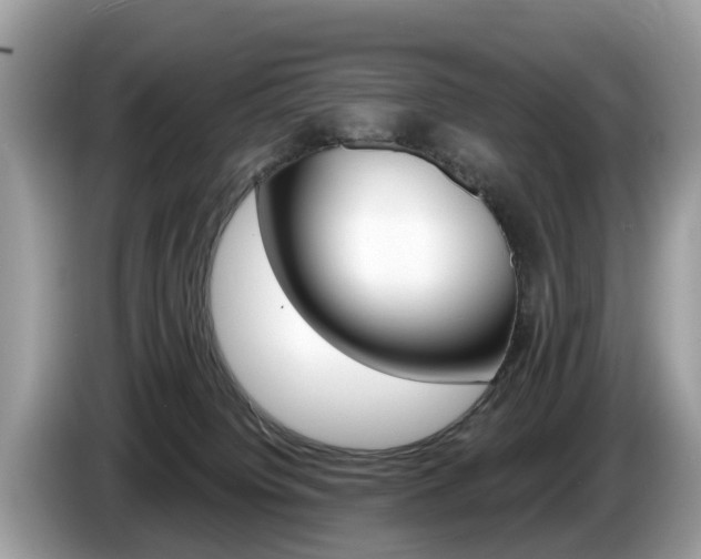 X0000087610084200704271108
