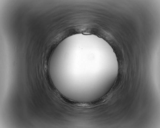 X0000087610085200704271108