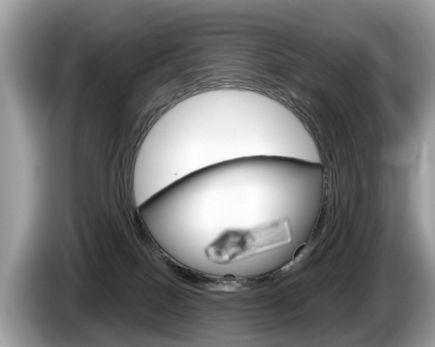 X0000087610086200704271108