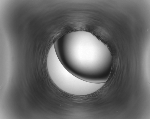 X0000087610088200704271108