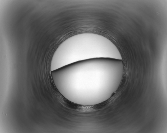 X0000087610093200704271108
