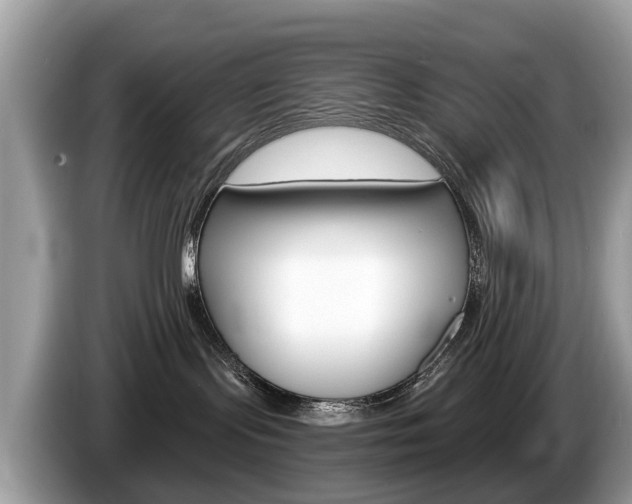 X0000087610095200704271108