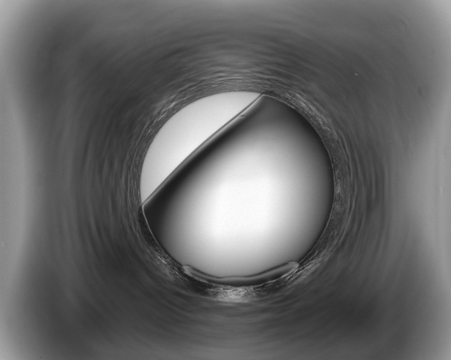X0000087610096200704271108