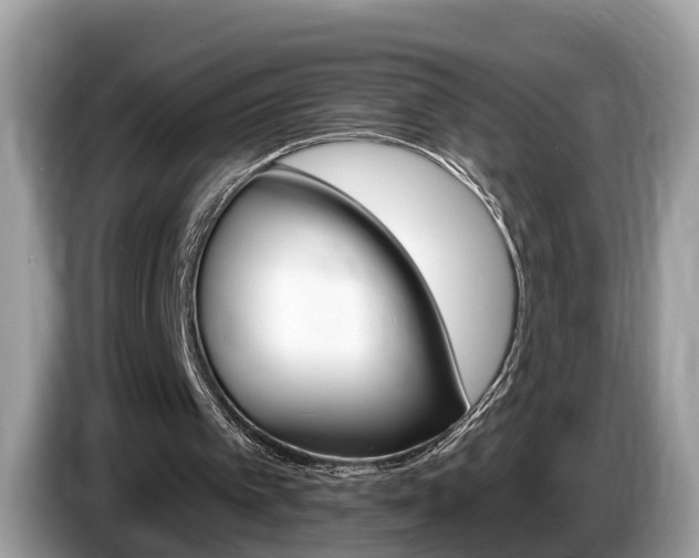 X0000087610097200704271108