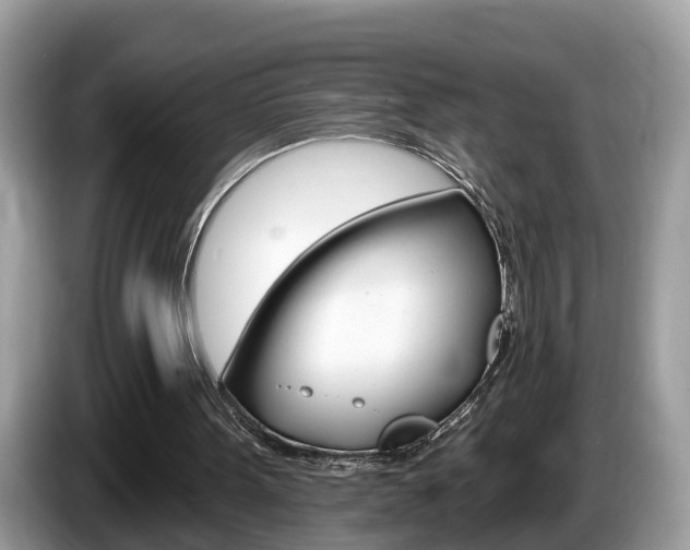 X0000087610099200704271108