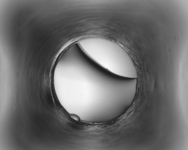 X0000087610100200704271108