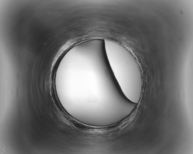 X0000087610102200704271108