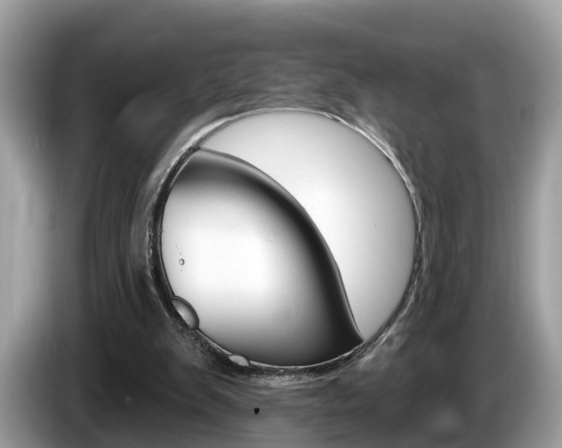 X0000087610103200704271108