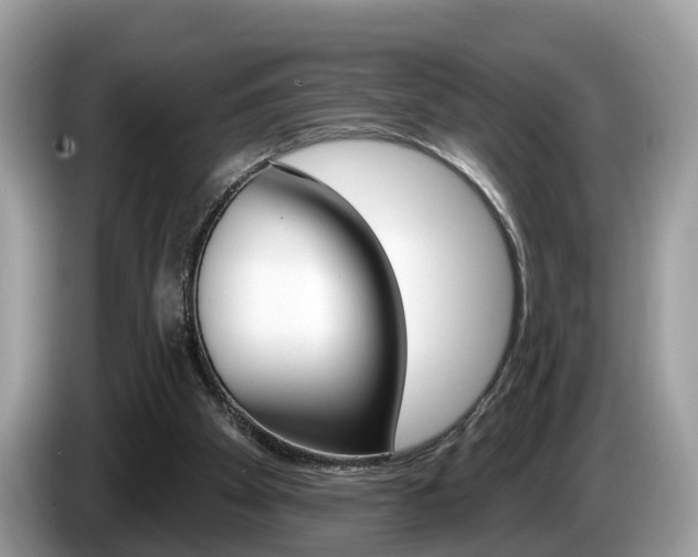 X0000087610105200704271108