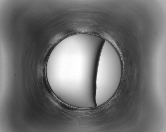 X0000087610106200704271108
