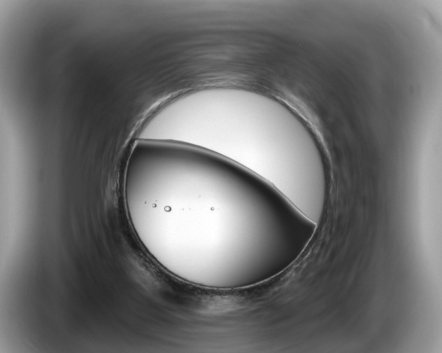 X0000087610107200704271108