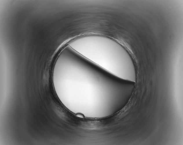 X0000087610108200704271108