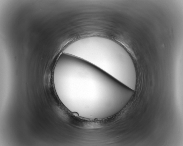 X0000087610110200704271108