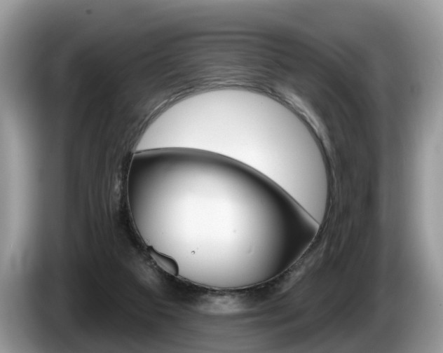 X0000087610113200704271108