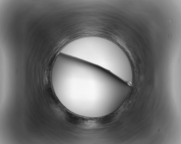 X0000087610114200704271108