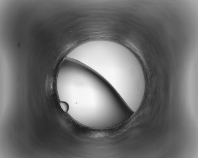 X0000087610115200704271108