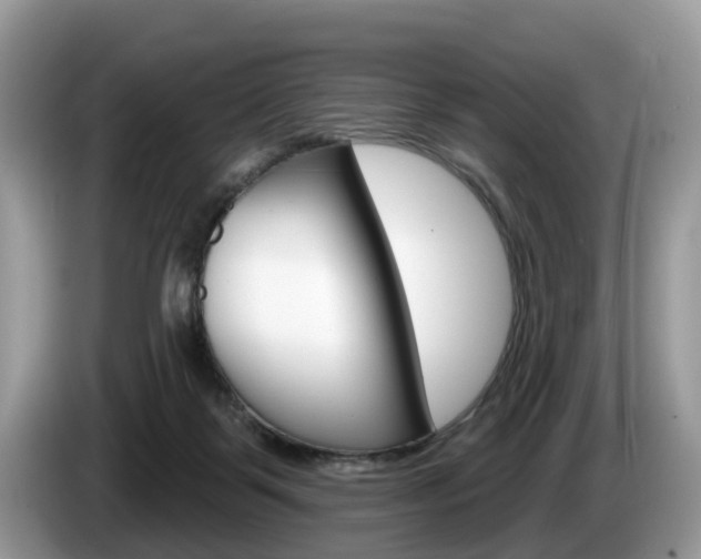 X0000087610123200704271107