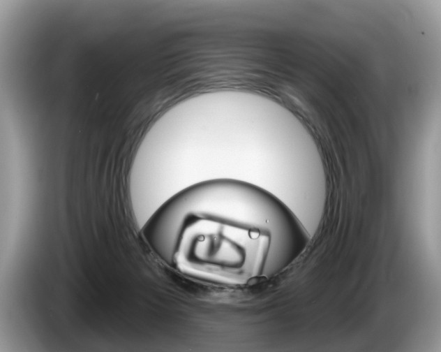 X0000087610125200704271107