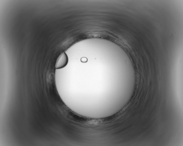 X0000087610126200704271107