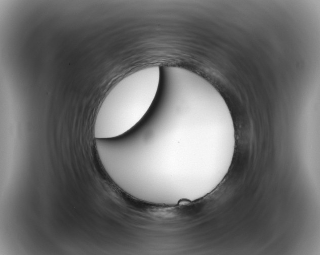 X0000087610132200704271107