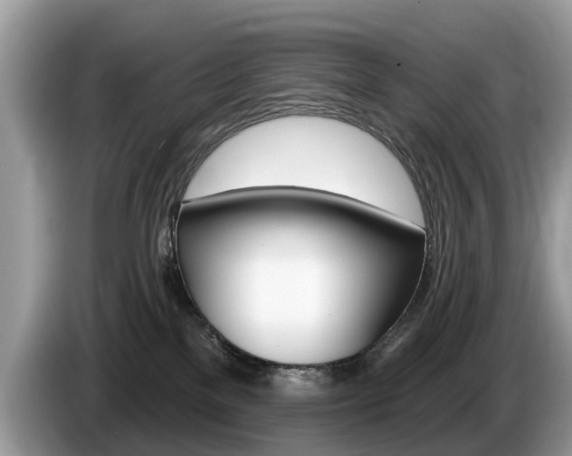 X0000087610137200704271107
