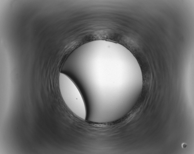 X0000087610139200704271107