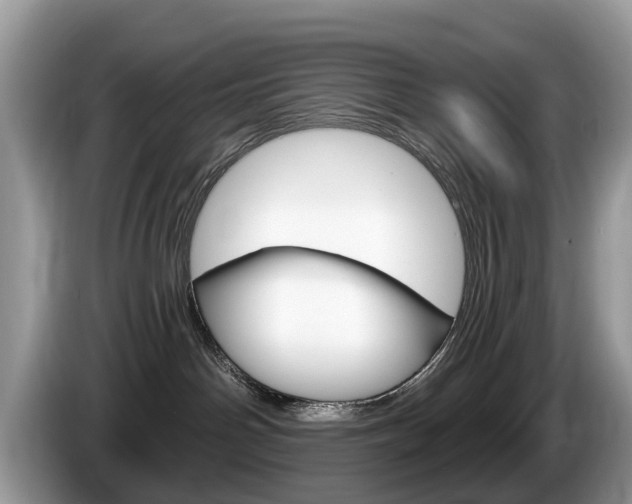 X0000087610142200704271107