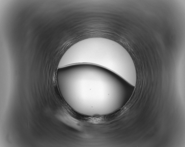 X0000087610143200704271107