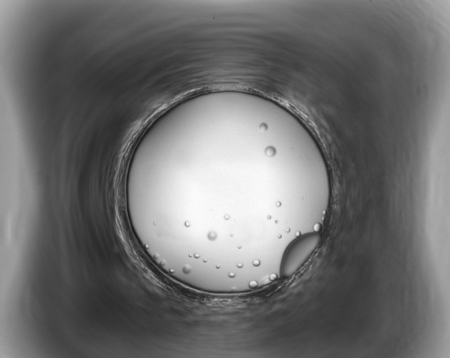 X0000087610145200704271107