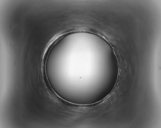 X0000087610152200704271107